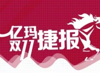 亿玛“双轮驱动”传捷报，助推电商驰骋“双十一”