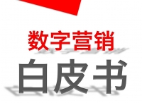 2016年上半年十大数字营销白皮书（上、下篇）