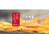 一口唤醒二十年青春记忆的情感营销，到底是什么样？