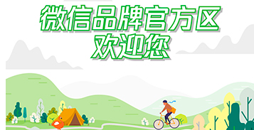 双旦营销怎么玩？“微信品牌官方区”了解一下！