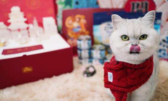 “留守宠物”过年吃喝拉撒全套配齐，天猫国际进口猫粮、智能猫厕所热销