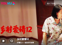 全民宅家做贡献，优酷助力品牌“掘金”大剧营销