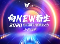 与LiveRamp共同关注2021全球营销技术四大趋势：数据协作、跨平台效果衡量、无Cookie/D