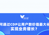 权威报告解码：如何通过CDP让用户数据价值最大化，实现业务增长？
