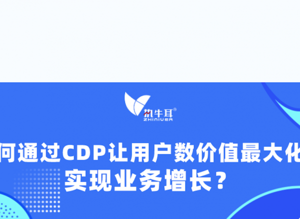 权威报告解码：如何通过CDP让用户数据价值最大化，实现业务增长？