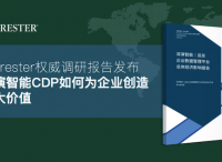 国际权威调研机构报告，深演智能CDP如何为企业创造巨大价值