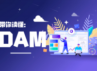 DAM，增强企业竞争力的不二法门