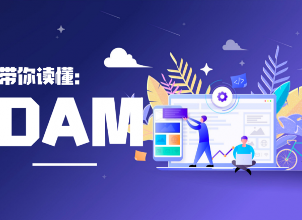 DAM，增强企业竞争力的不二法门