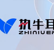 关税重压下，品牌出海的全新切入点是什么？